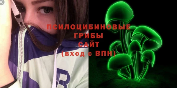 мдпв Магадан