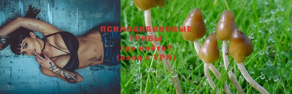 мдпв Магадан