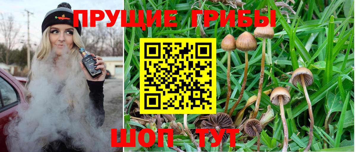 Псилоцибиновые грибы Psilocybe  Вход с VPN  Псилоцибиновые грибы Magic Shrooms  Серпухов 